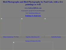 Tablet Screenshot of galleryofbirds.com